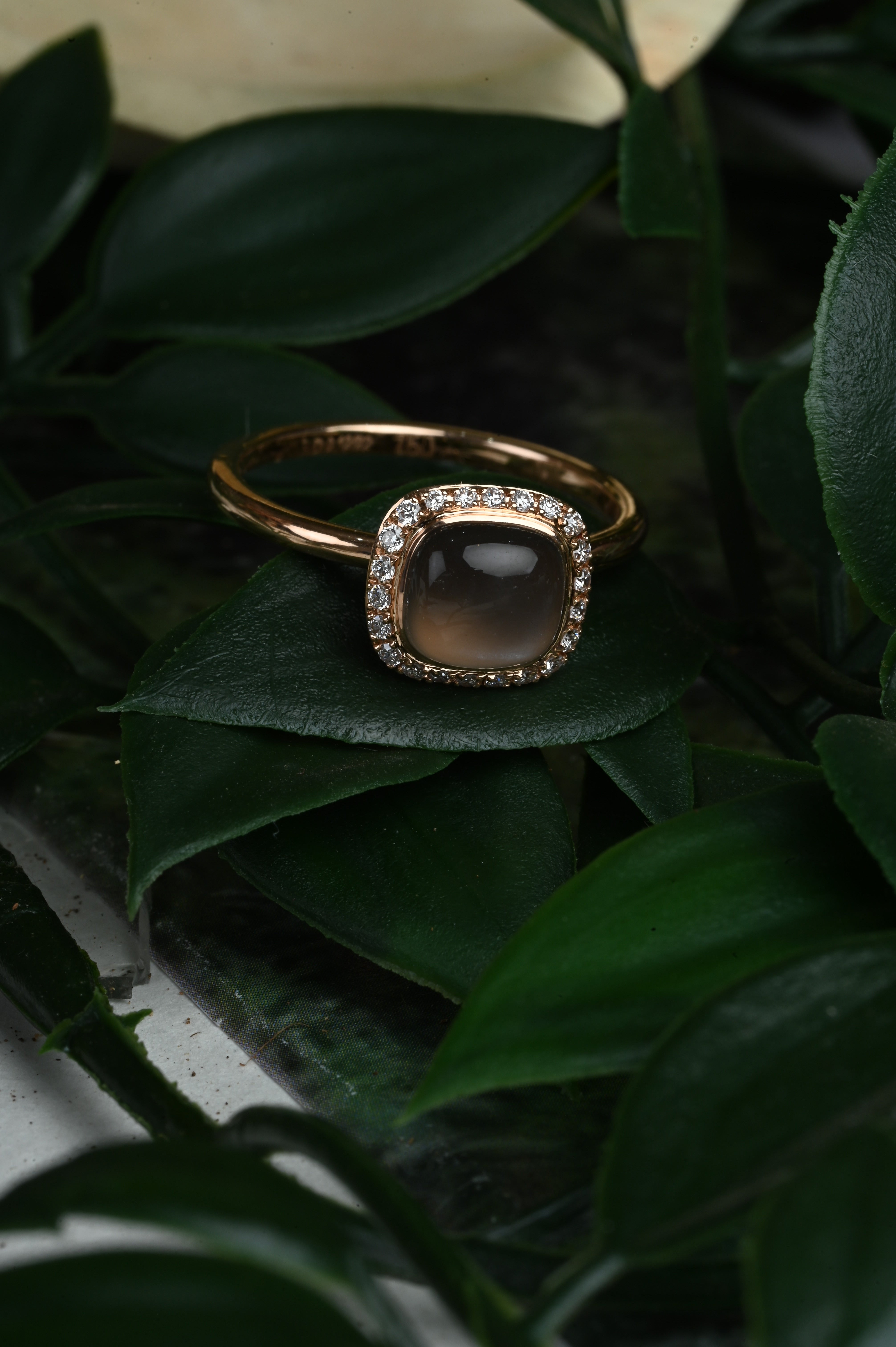 Squircle Ring